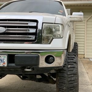 Meet your Posher, Forrest